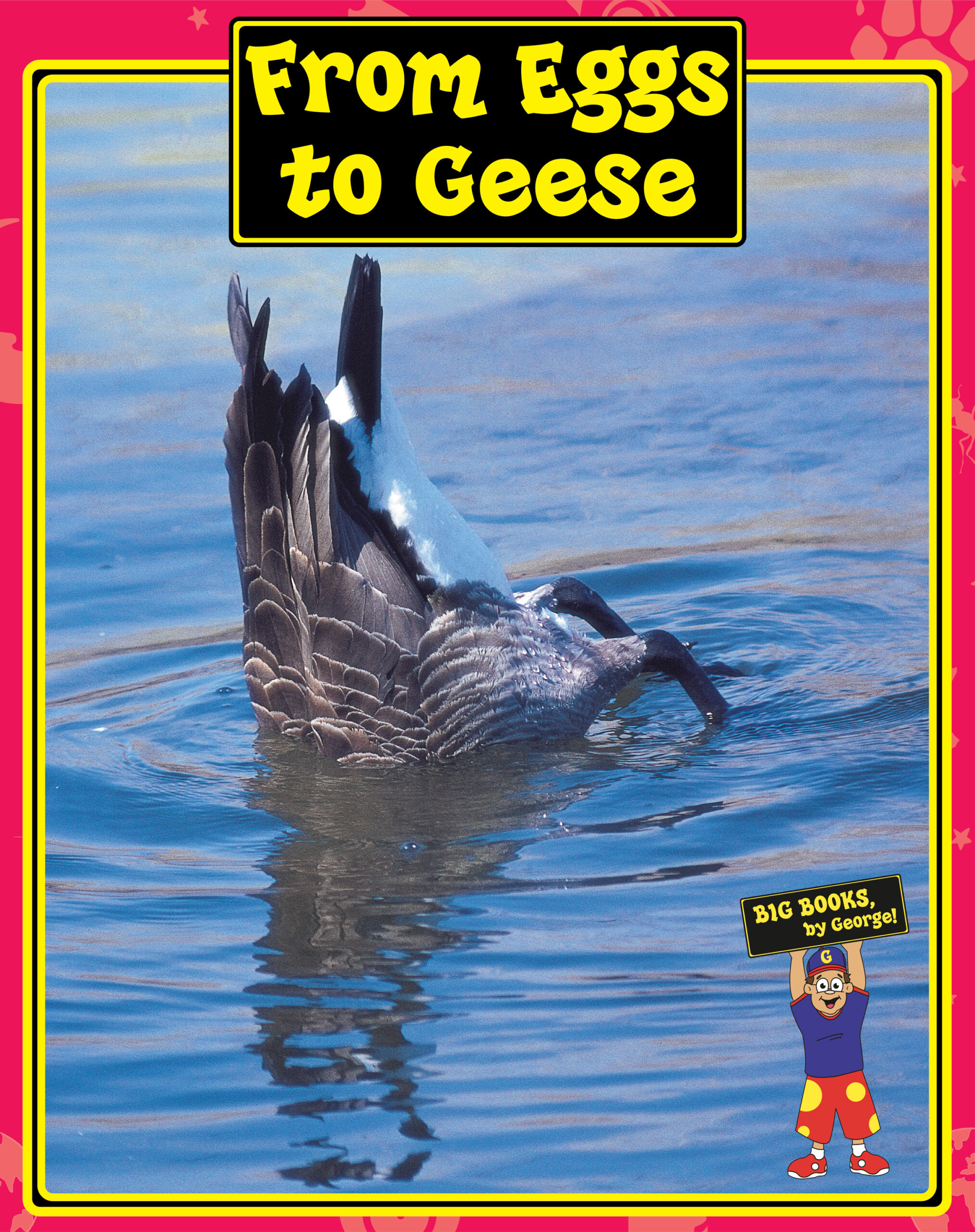 Read more about the article From Eggs to Geese